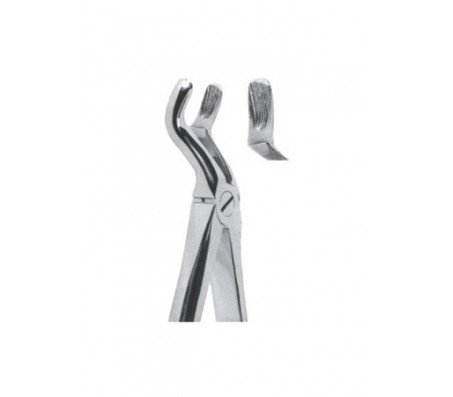 Extracting Forceps